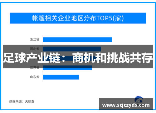 足球产业链：商机和挑战共存